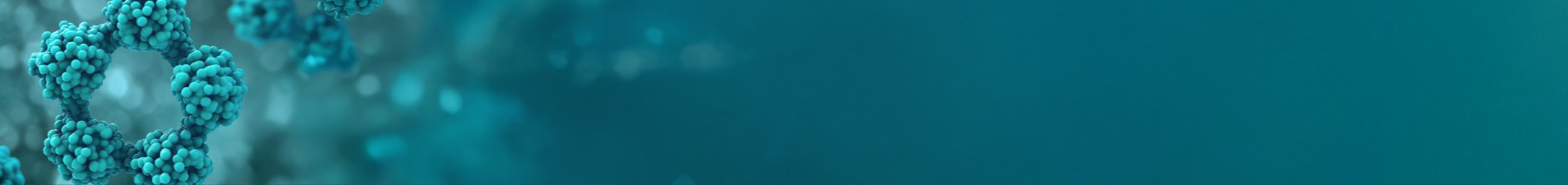 Basic Information Banner