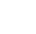 P Logo